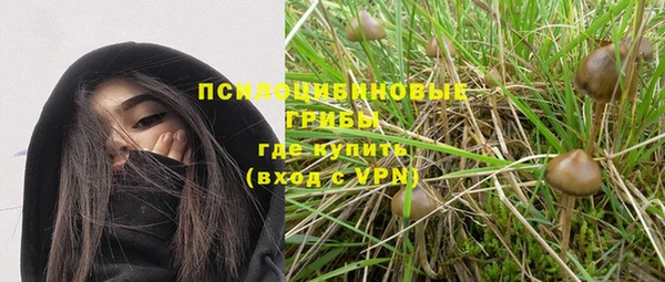 a pvp Зерноград