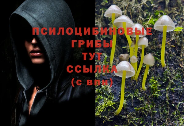 метадон Зеленокумск