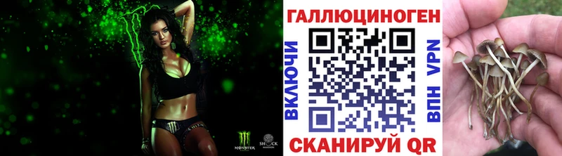 Галлюциногенные грибы Magic Shrooms  Купить где  Менделеевск 