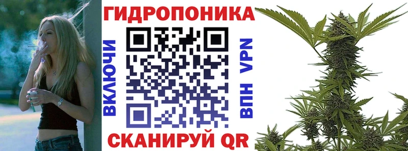 Купить где  Менделеевск  Бошки Шишки тримм 
